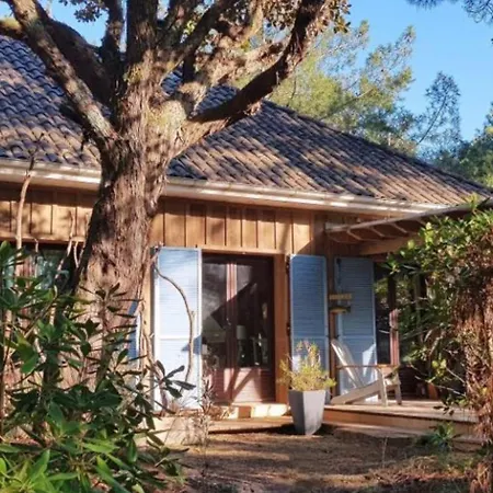 Cap Ferret Ocean Ref 200 Ferienhaus
