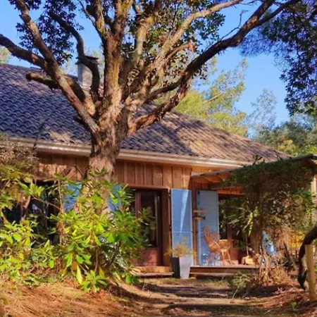 Ferienhaus Cap Ferret Ocean Ref 200